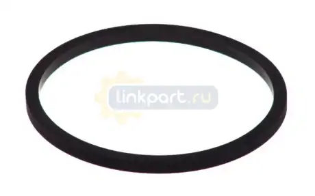 Прокладка насоса охлаждающей жидкости F4AE0481/F4AE3481 Tector Iveco 24279.10