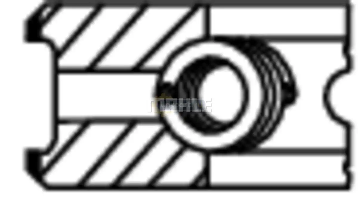 Кольца поршневые d130 STD 4*3.16*4 ком-кт на 1 цил. MX300/340/375 DAF 85CF/XF105 213 09 N0