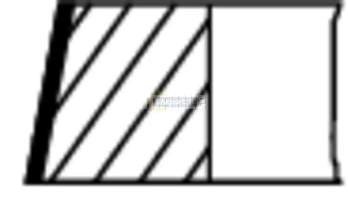 Кольца поршневые d120 H=3,5*3*4 ком-кт на 1 цил. MIDR06.20.45/D2066 RVI/MAN 227 RS 00111 0N0